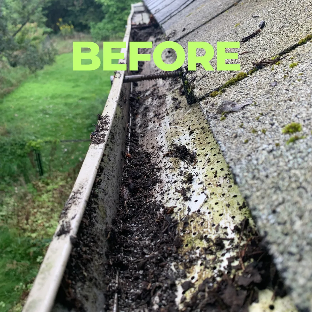 Before — Cleared by hand and flushed — this is what your eavestroughs look like after leaf-fall.