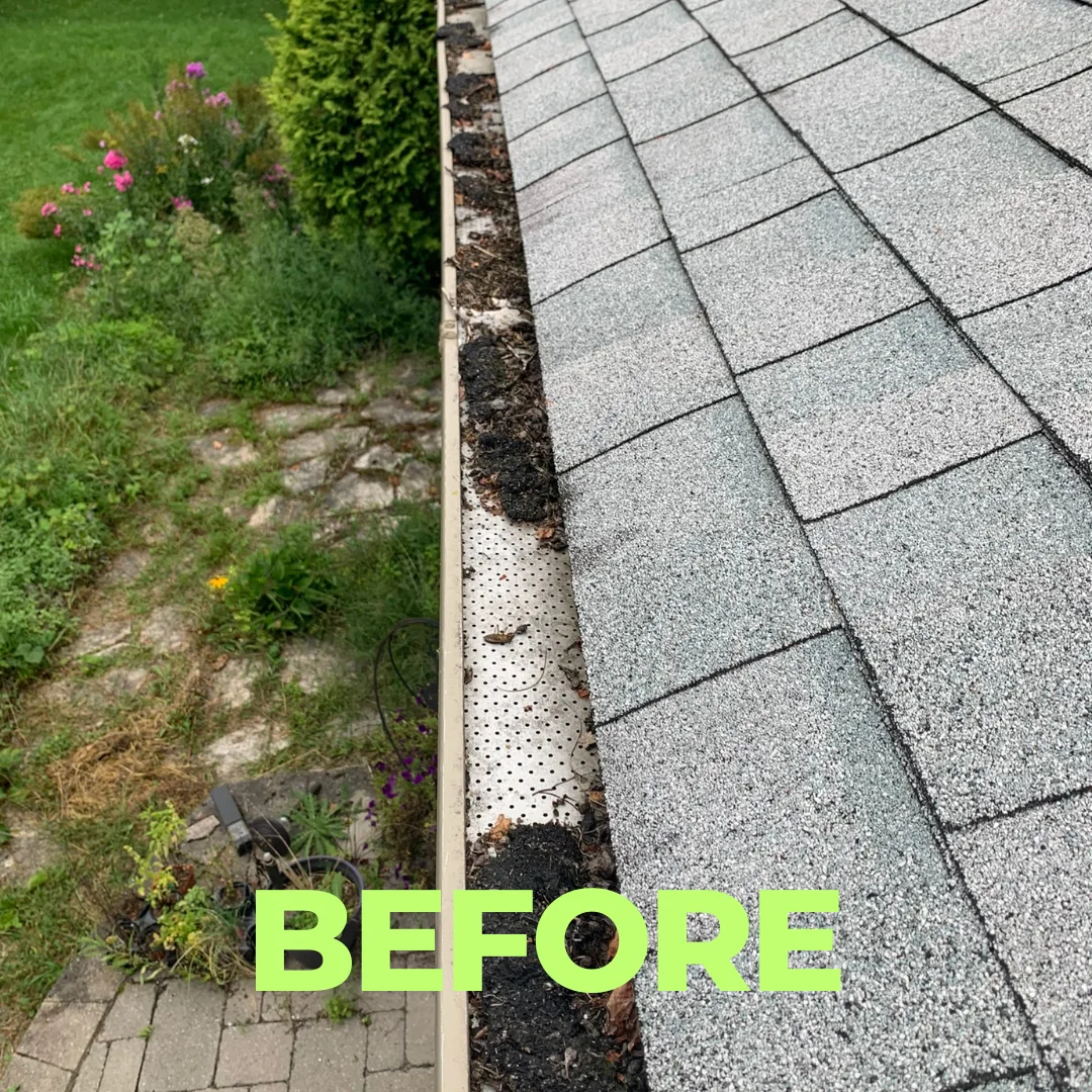 Before — Debris out, downspouts flushed, flow checked.