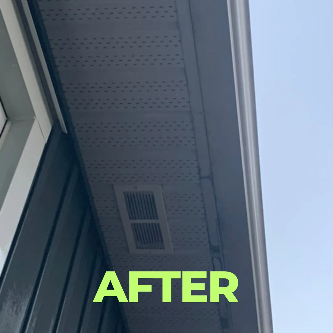 After — Soffits cleaned without a ladder ever touching the siding.